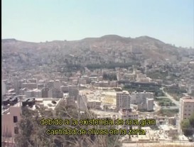 El Sabó de Nablus
