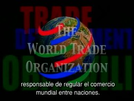 Showdown in Seattle: Cinco Dias que Hicieron Tambalear la WTO Parte 5: Como se Percibe la Democracia